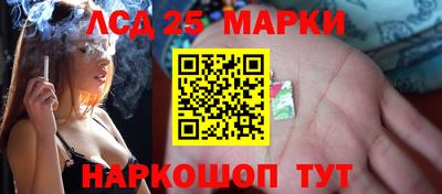 Альфа ПВП Нальчик