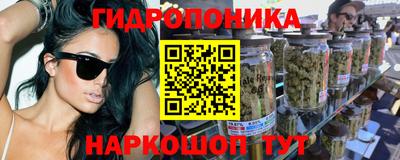 Альфа ПВП Нальчик