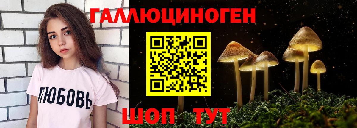 Псилоцибиновые грибы GOLDEN TEACHER  Вход с VPN  Таганрог  Псилоцибиновые грибы Magic Shrooms 